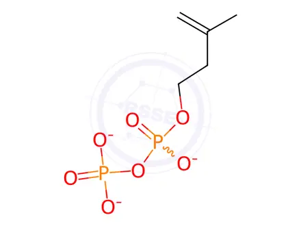 Chemical structure of Ipp Lithium Salt