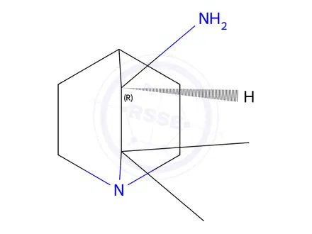 Chemical structure of (R)-2,2-dimethylquinuclidin-3-amine