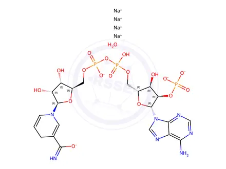 Chemical structure of β-Nadph Tetrasodium Salt