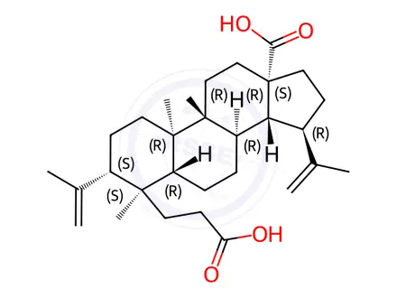 Chemical structure of 3,4-Secolupa-4(23),20(29)-diene-3,28-dioic acid