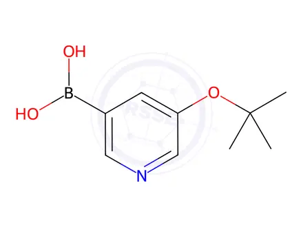 Chemical structure of (5-(tert-butoxy)pyridin-3-yl)boronic acid