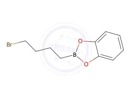 Chemical structure of 2-(4-Bromobutyl)-1,3,2-benzodioxaborole