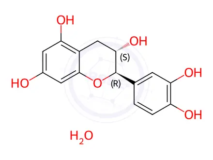 Chemical structure of (+)-Catechin Monohydrate