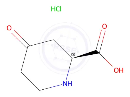 Chemical structure of (S)-4-oxopiperidine-2-carboxylic acid hydrochloride