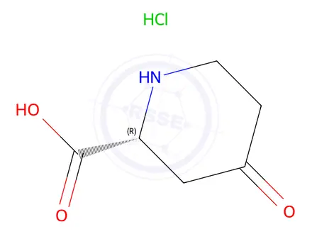 Chemical structure of (R)-4-oxopiperidine-2-carboxylic acid hydrochloride