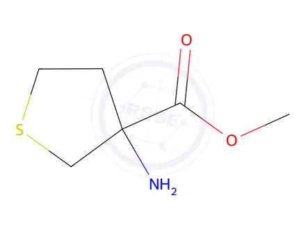 Chemical structure of methyl 3-aminothiolane-3-carboxylate