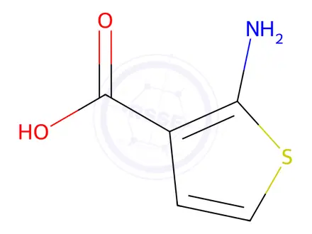 Chemical structure of 2-Aminothiophene-3-carboxylic Acid
