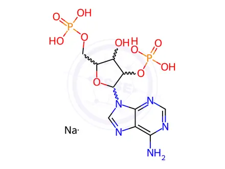 Chemical structure of ADENOSINE 2',5'-DIPHOSPHATE SODIUM SALT