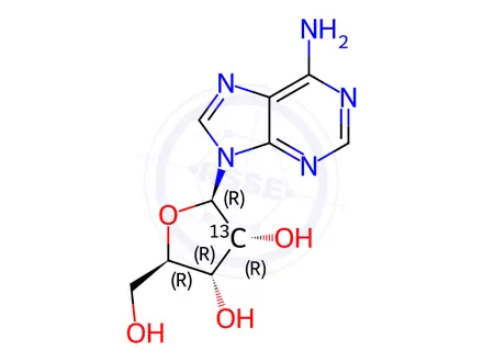 Chemical structure of [2'-13C]adenosine