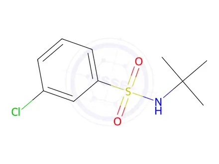 Chemical structure of N-(tert-Butyl)-3-chlorobenzenesulfonamide