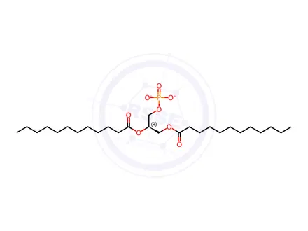 Chemical structure of 12:0 PA