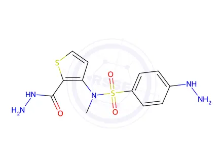 Chemical structure of N-(2-(hydrazinecarbonyl)thiophen-3-yl)-4-hydrazinyl-N-methylbenzenesulfonamide