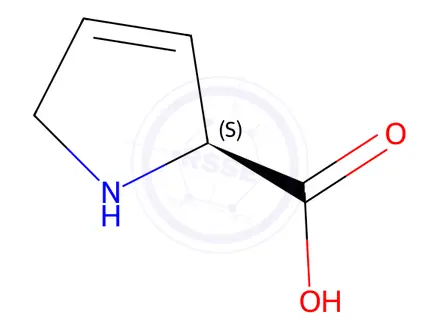 Chemical structure of 3,4-Dehydro-L-proline