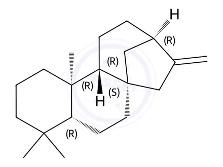 Chemical structure of Ent-Kaurene