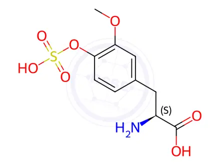 Chemical structure of 3-O-Methyl-L-DOPA 4-Sulfate