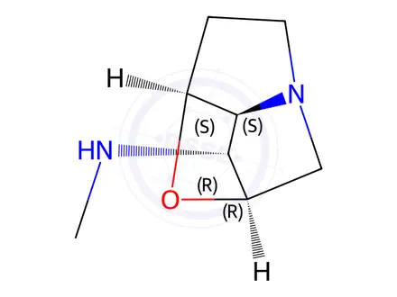 Chemical structure of loline