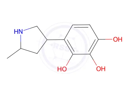 Chemical structure of 4-(5-Methylpyrrolidin-3-yl)benzene-1,2,3-triol