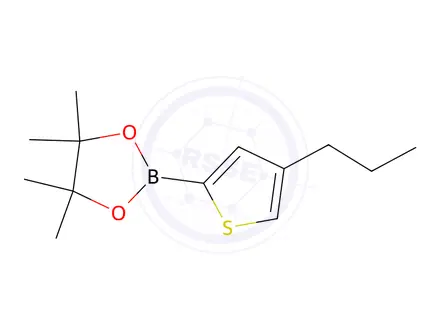 Chemical structure of 3-Hydroxy-2,3-dimethylbutan-2-yl hydrogen (4-propylthiophen-2-yl)boronate