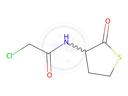Chemical structure of N-Chloroacetyl DL-Homocysteine Thiolactone