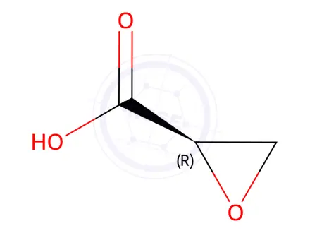 Chemical structure of (R)-Oxirane-2-carboxylic acid