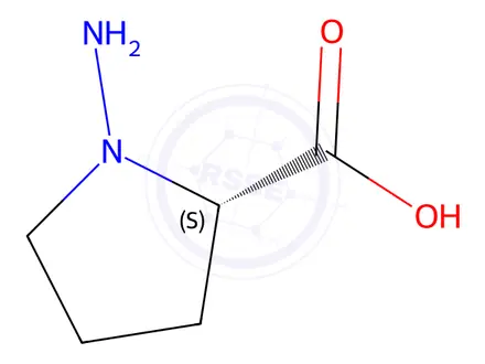 Chemical structure of (S)-1-Aminopyrrolidine-2-carboxylic acid