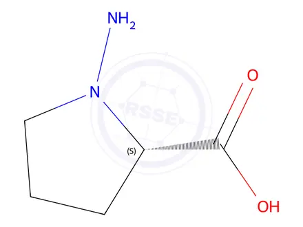 Chemical structure of L-Proline, 1-amino-(9CI)