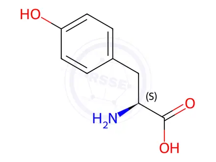 Chemical structure of L-Tyrosine