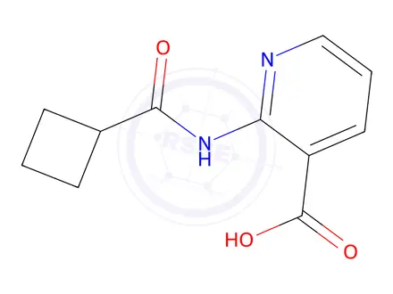 Chemical structure of 2-Cyclobutaneamidopyridine-3-carboxylic acid
