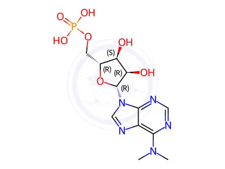 Chemical structure of 5'-Adenylic acid, N,N-dimethyl-