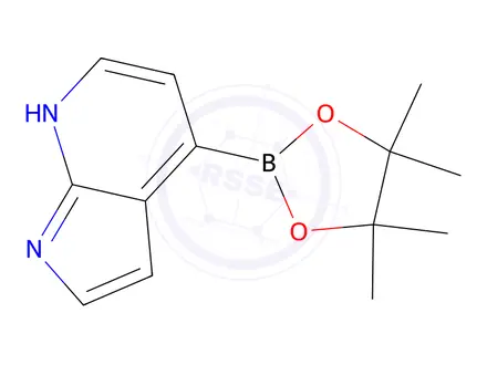 Chemical structure of 4-(4,4,5,5-Tetramethyl-1,3,2-dioxaborolan-2-yl)-1H-pyrrolo[2,3-β]pyridine