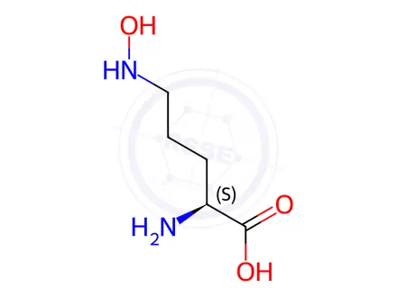 Chemical structure of delta-N-hydroxyornithine