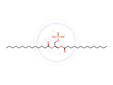 Chemical structure of Dimyristoyl phosphatidic acid