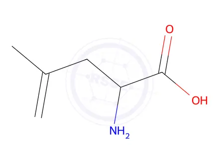 Chemical structure of 2-amino-4-methyl-pent-4-enoic acid