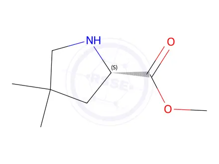 Chemical structure of Methyl (S)-4,4-dimethylpyrrolidine-2-carboxylate