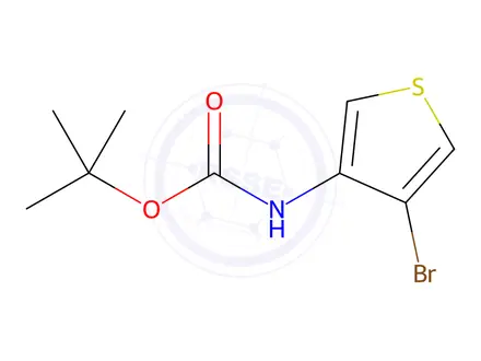 Chemical structure of tert-Butyl (4-bromothiophen-3-yl)carbamate