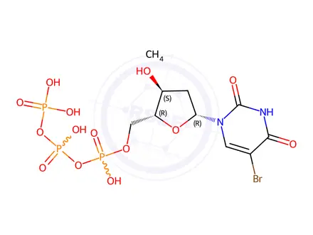 Chemical structure of 5-Bromo-2'-deoxyuridine 5'-triphosphate Sodium Salt