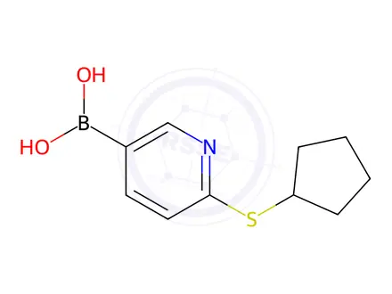 Chemical structure of 2-(Cyclopentylthio)pyridine-5-boronic acid