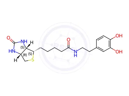 Chemical structure of N-Biotinyl Dopamine