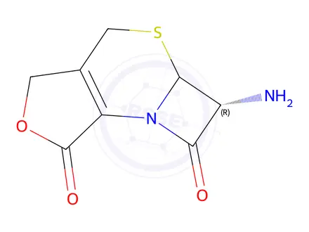 Chemical structure of (6R)-6-amino-5a,6-dihydroazeto[2,1-b]furo[3,4-d][1,3]thiazine-1,7(3H,4H)-dione