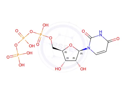 Chemical structure of Diquafosol Impurity UTP