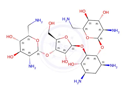 Chemical structure of Neomycin