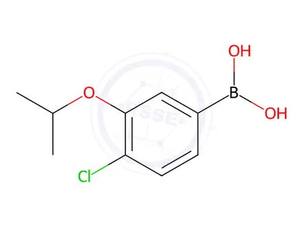 Chemical structure of 4-Chloro-3-isopropoxyphenylboronic Acid