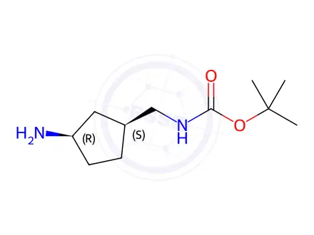 Chemical structure of Carbamic acid, [[(1R,3S)-3-aminocyclopentyl]methyl]-, 1,1-dimethylethyl ester,