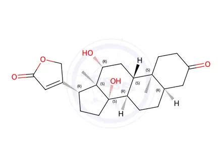 Chemical structure of 3-Ketodigoxigenin