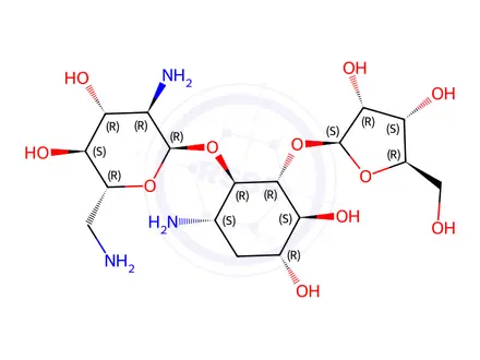 Chemical structure of 4-O-(2,6-Diamino-2,6-dideoxy-α-D-glucopyranosyl)-5-O-(β-D-ribofuranosyl)-3-amino-2,3-dideoxy-D-myo-inositol