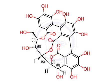 Chemical structure of 17-De[(2'-carboxy-4,4',5,5',6,6'-hexahydroxy-1,1'-biphenyl-2-yl)carbonyl]neovescalagin