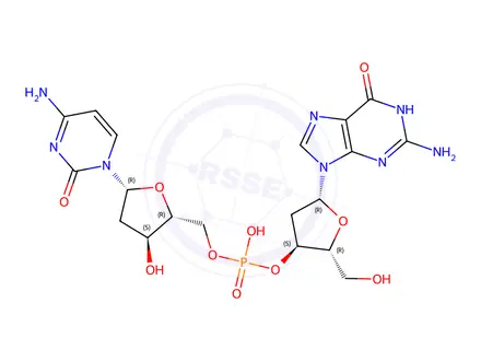 Chemical structure of 2'-deoxyguanylyl-(3'-5')-2'-deoxycytidine