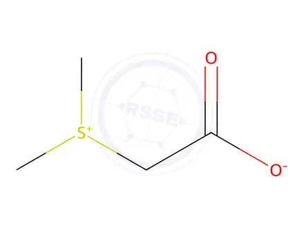 Chemical structure of Betaine Impurity 3 (Sulfobetaine)