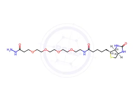 Chemical structure of Biotin-PEG4-Hydrazide