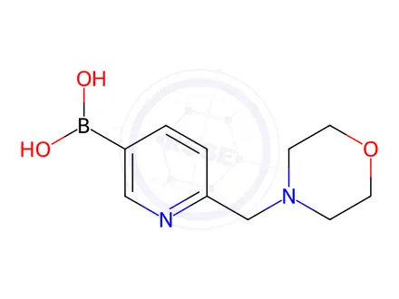 Chemical structure of 6-(Morpholinomethyl)pyridine-3-boronic Acid